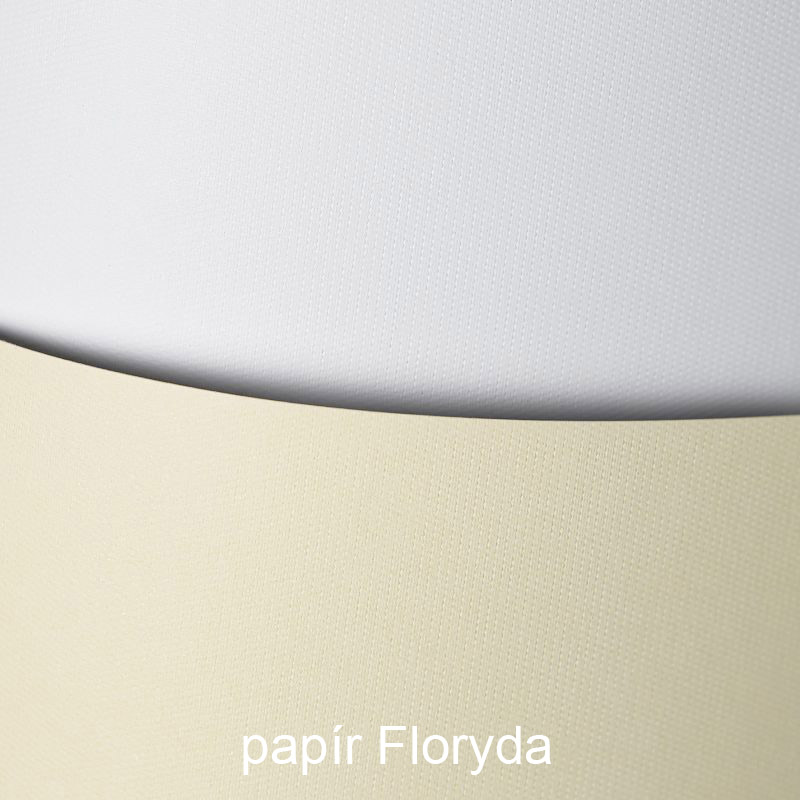 Pap�r Floryda