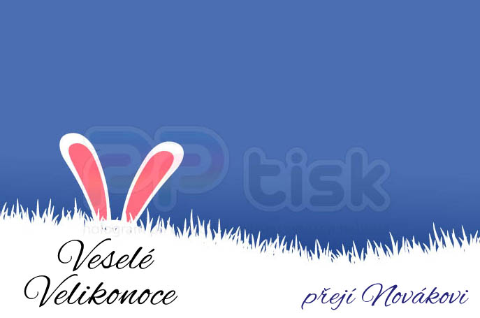 n�vrh, vzor, �ablona pohlednice / 91 - PPtisk.cz