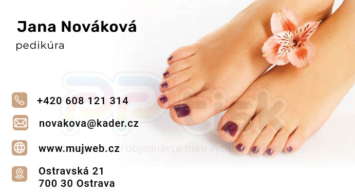 n�vrh, vzor, �ablona vizitky / 173 - PPtisk.cz