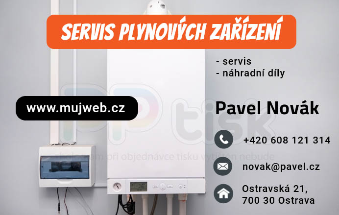 n�vrh, vzor, �ablona vizitky / 207 - PPtisk.cz