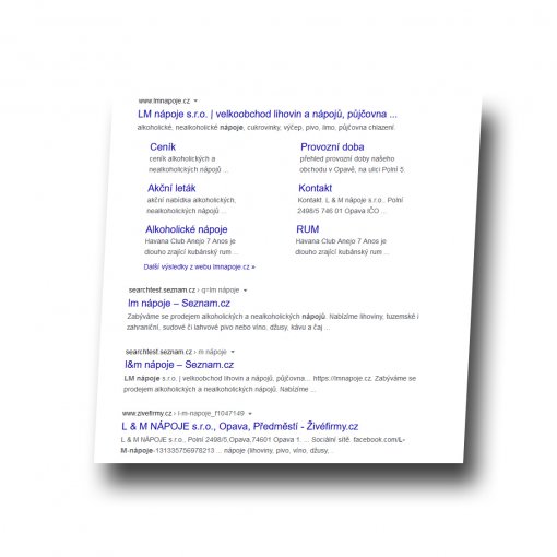 SEO - anal�za - vyhled�v�n�