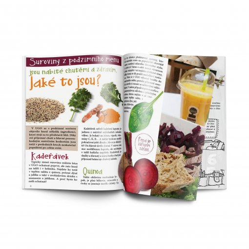 Tisk katalogu, bro�ury, n�vodu, v�sledn� rozm�r A4 - 12 stran